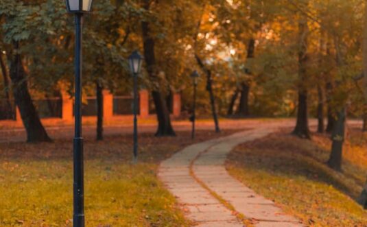 A winding path through an autumn park with lampposts.