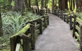 The Light That Remains – If You Dare to Look