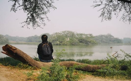 Person sitting on log by tranquil lake