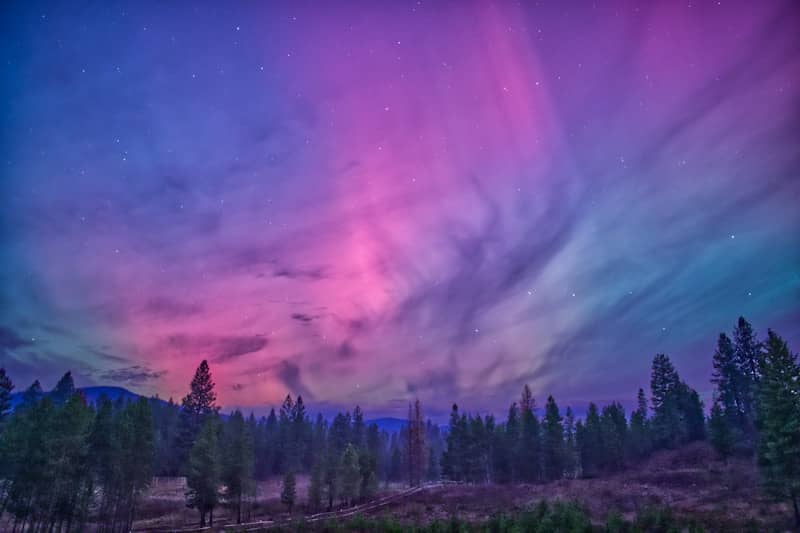 Aurora borealis lights up the night sky over forest.