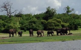 What Is Unfinished Business Costing You?